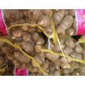 Fresh Taro Grade a From China Chinese Taro High Quality